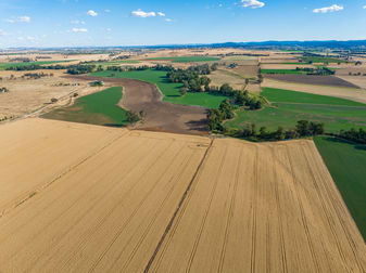 1166 Fish Fossil Drive Canowindra NSW 2804 Rural Farming For