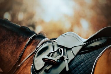 Horse clothing sale outlet