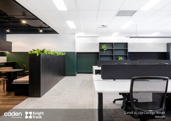 239 George Street Brisbane City QLD 4000 - Image 5