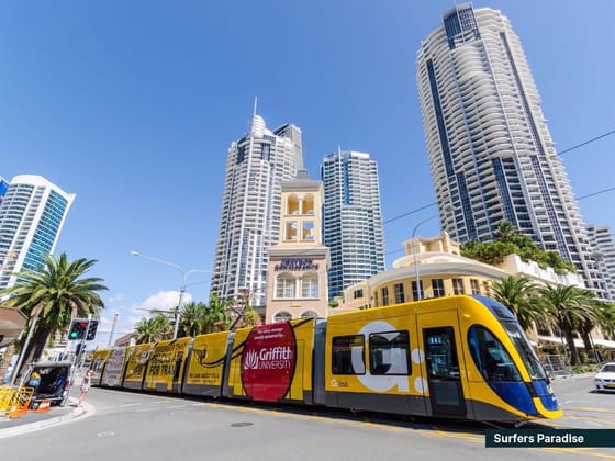 24 Orchid Avenue Surfers Paradise QLD 4217 - Image 4