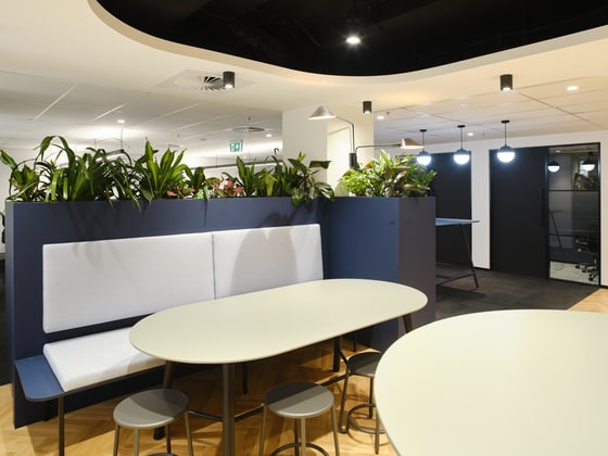 Suite 3.01/99 York Street Sydney NSW 2000 - Image 4