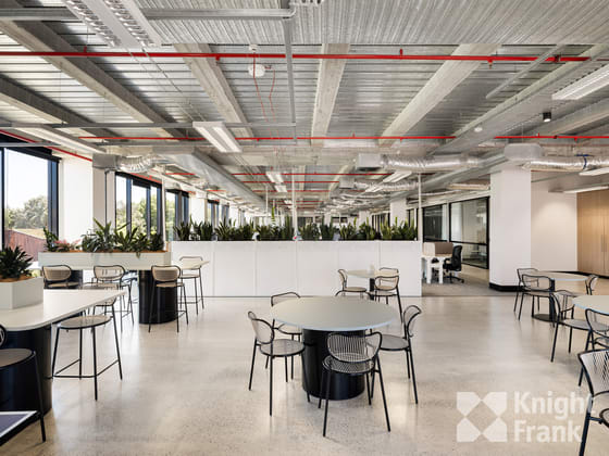 11 Bowden Street Alexandria NSW 2015 - Image 4