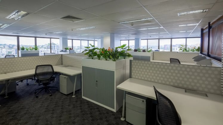 Level 9 Suite 901/303 Coronation Drive Milton QLD 4064 - Image 5