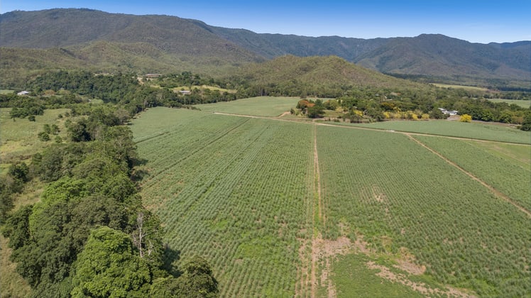 24 Roos Road + Gillies Range Road Little Mulgrave QLD 4865 - Image 5