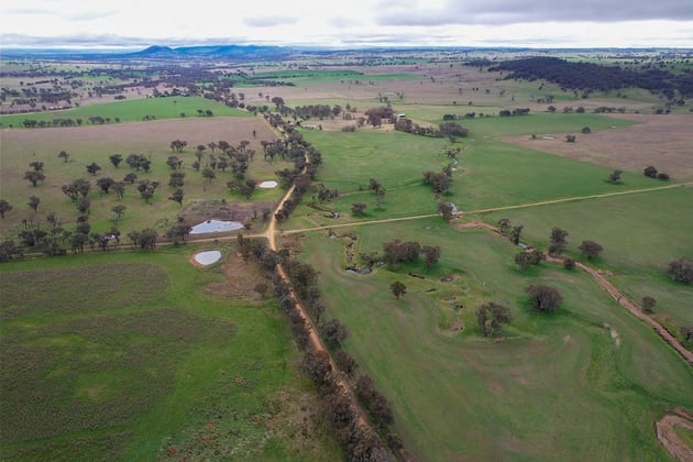 Murringo NSW 2586 - Image 1