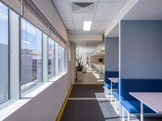 8 Herbert St Leonards NSW 2065 - Image 4