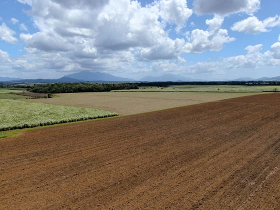 41 Douglas Road Mundoo QLD 4860 - Image 5