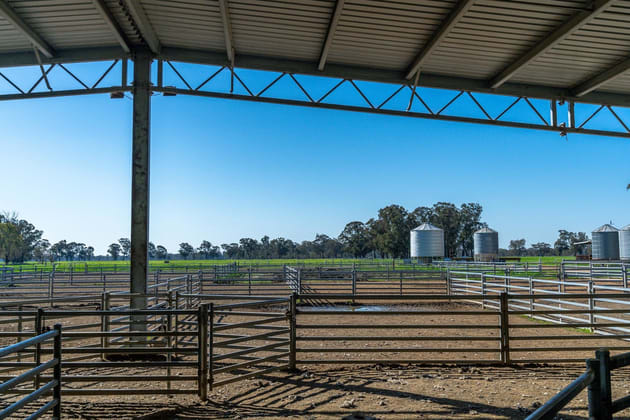 1350 Geodetic Road Euroa VIC 3666 - Image 5