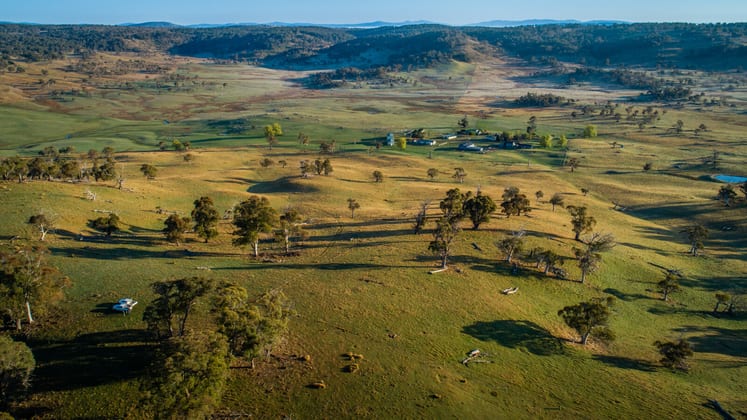 2042 Rocky Plain Road Rocky Plain NSW 2628 - Image 3