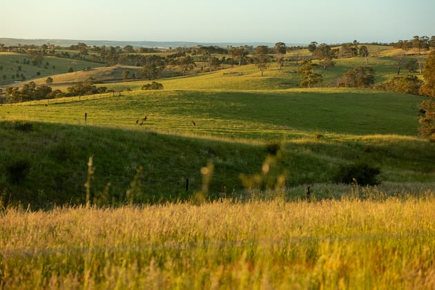 519A Harrogate Road Harrogate SA 5244 - Image 2