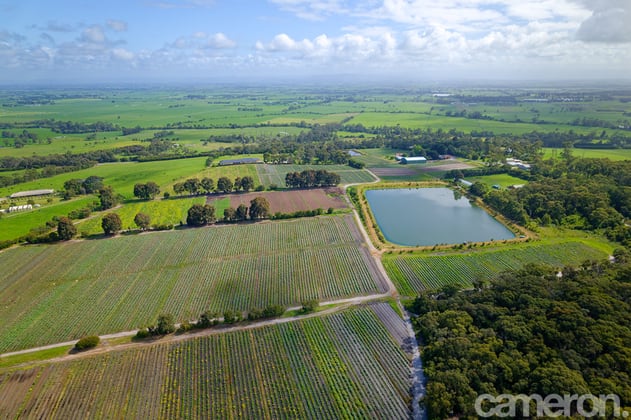 20 Mt Lyall Road Heath Hill VIC 3981 - Image 3