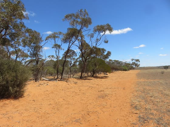 4228 Binnu Road East Dartmoor WA 6532 - Image 5