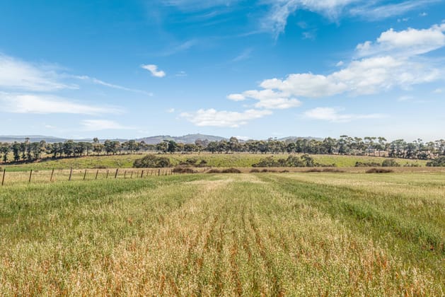 864 Holden Road Diggers Rest VIC 3427 - Image 5
