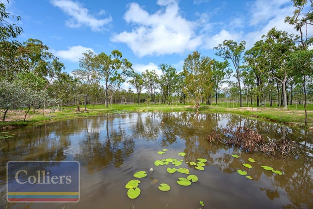 153 & 305 Forestry Road Bluewater QLD 4818 - Image 5