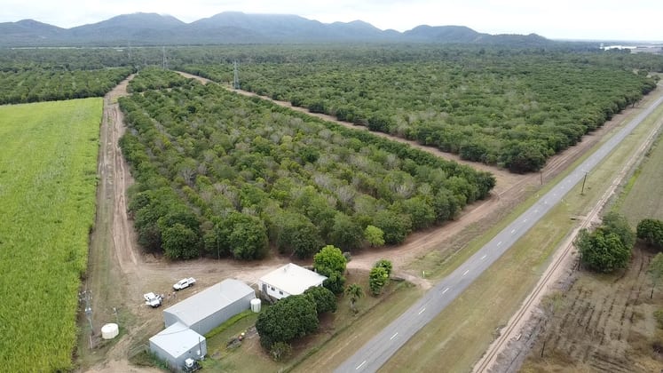 8816 Ayr Dalbeg Road Dalbeg QLD 4807 - Image 3