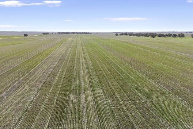 Beverly Farming Portfolio Rich Avon Marnoo VIC 3387 - Image 1