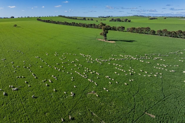 Greenethorpe NSW 2809 - Image 1