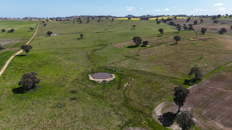 Islands Road Cowra NSW 2794 - Image 1