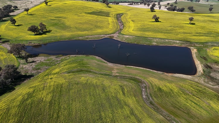 Islands Road Cowra NSW 2794 - Image 2