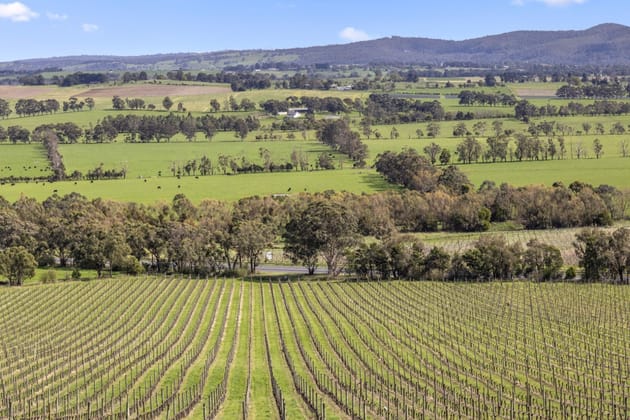 Coombe Farm 11 St Huberts Road Coldstream VIC 3770 - Image 1