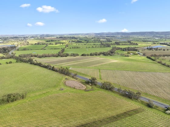 Coombe Farm 11 St Huberts Road Coldstream VIC 3770 - Image 4