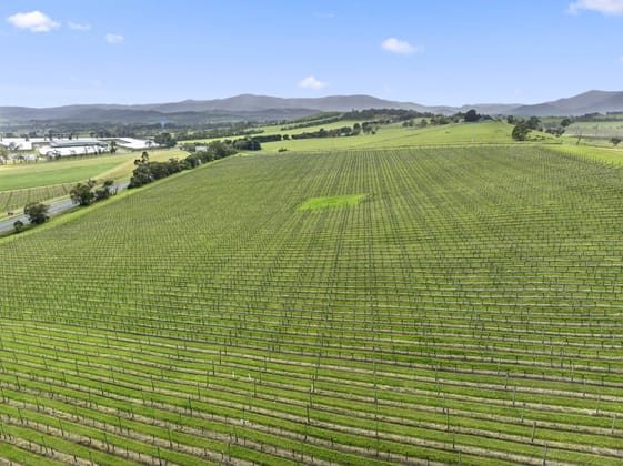 Coombe Farm 11 St Huberts Road Coldstream VIC 3770 - Image 5