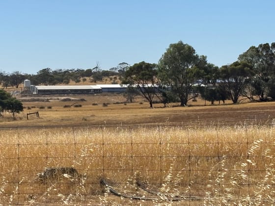 875 Youndegin Kelkering Road Youndegin WA 6407 - Image 1