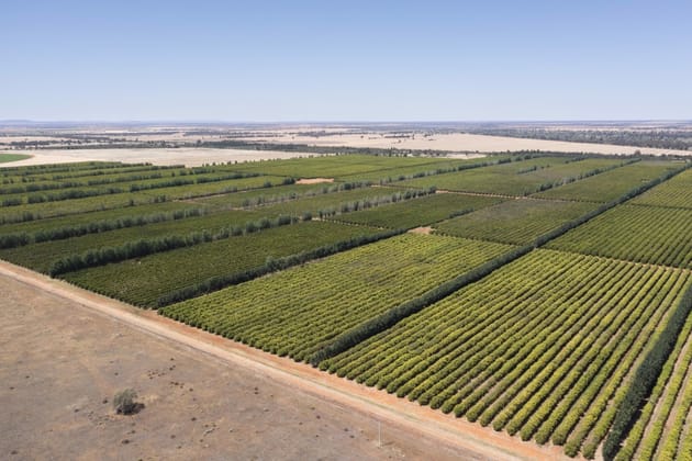 Rosemont & Talinga Park 11847 Kidman Way Hillston NSW 2675 - Image 1