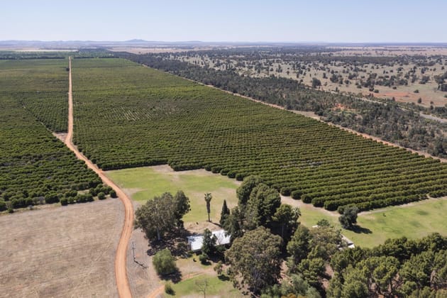 Rosemont & Talinga Park 11847 Kidman Way Hillston NSW 2675 - Image 2
