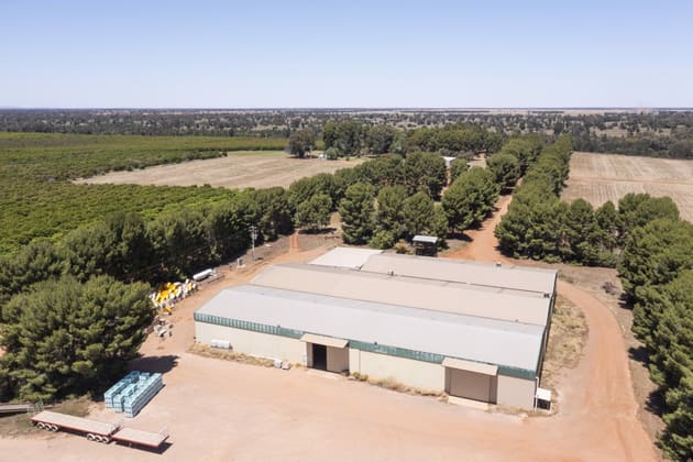 Rosemont & Talinga Park 11847 Kidman Way Hillston NSW 2675 - Image 3