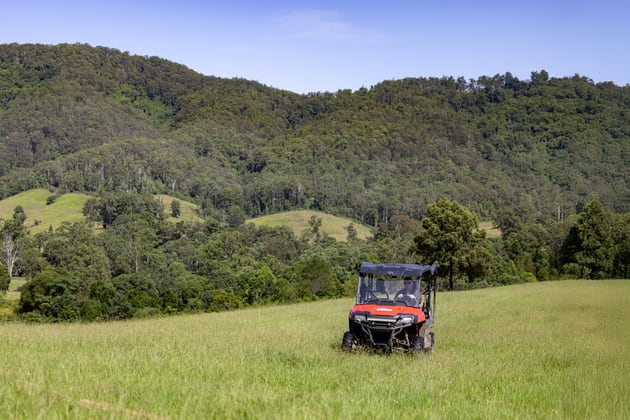 770 Mooral Creek Road Strathcedar NSW 2429 - Image 2