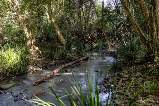 770 Mooral Creek Road Strathcedar NSW 2429 - Image 3