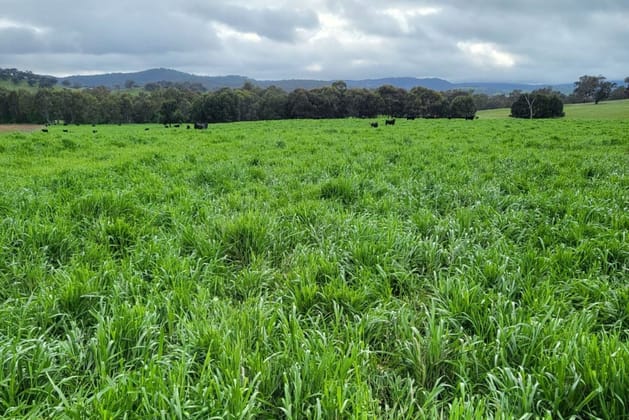 1725 Humula Road Tarcutta NSW 2652 - Image 3
