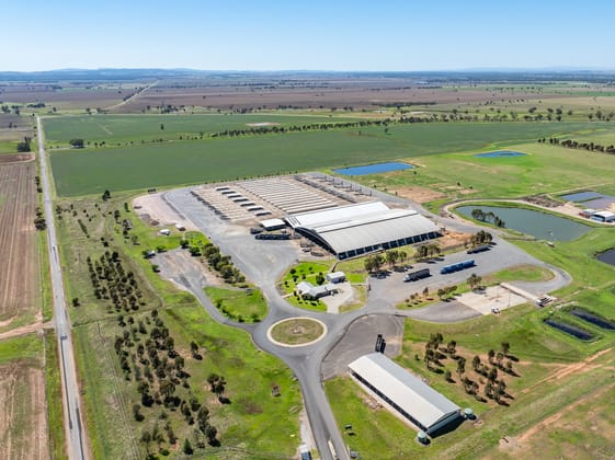 52 Back Yamma Road Forbes NSW 2871 - Image 4