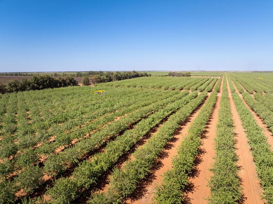 995 Millewa Road Koorlong VIC 3501 - Image 5
