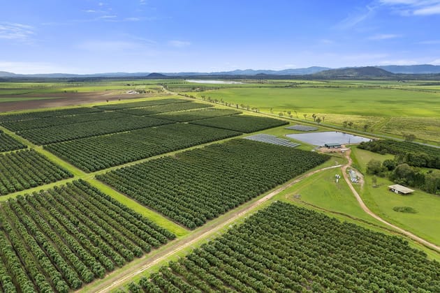 Mareeba Dimbulah Road Arriga QLD 4880 - Image 1
