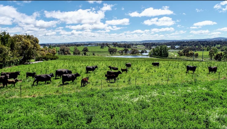 Parkwood East, 90 Hawke Lane Orange NSW 2800 - Image 3