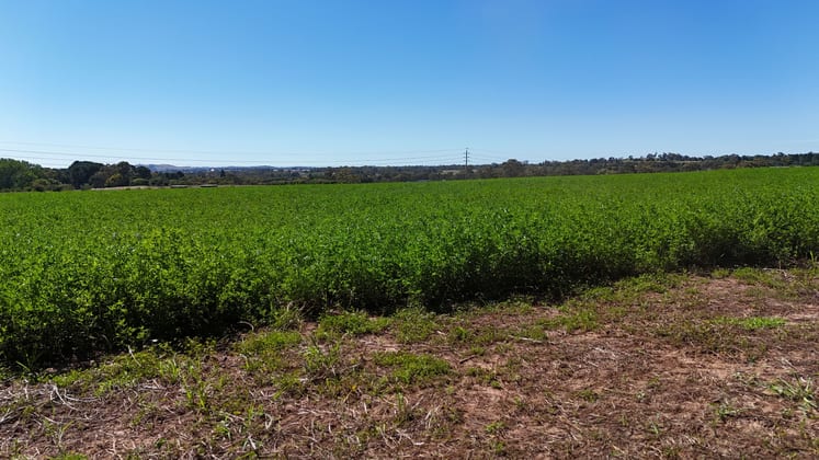 Parkwood East, 90 Hawke Lane Orange NSW 2800 - Image 4