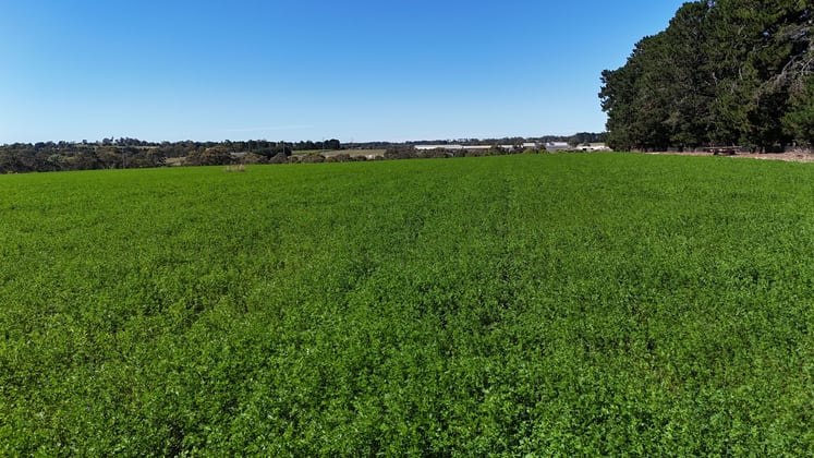 Parkwood East, 90 Hawke Lane Orange NSW 2800 - Image 5