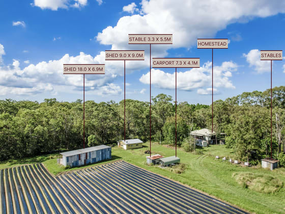 83 Lindenthal Road Park Ridge QLD 4125 - Image 4