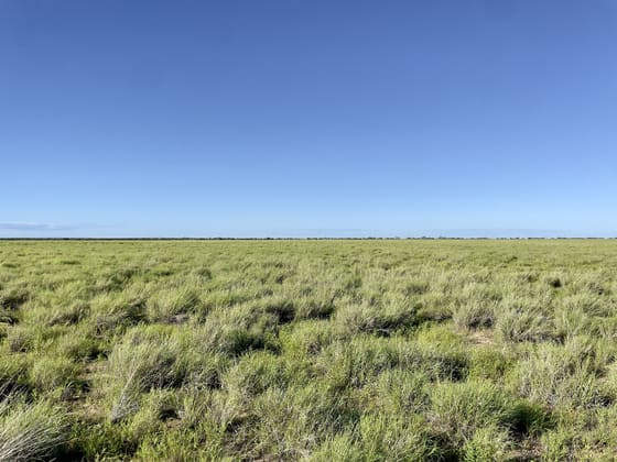5480 Diamantina River Rd Opalton QLD 4735 - Image 2