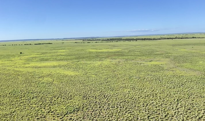 5480 Diamantina River Rd Opalton QLD 4735 - Image 3