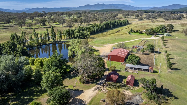 2028 Uriarra Road Coree NSW 2710 - Image 2