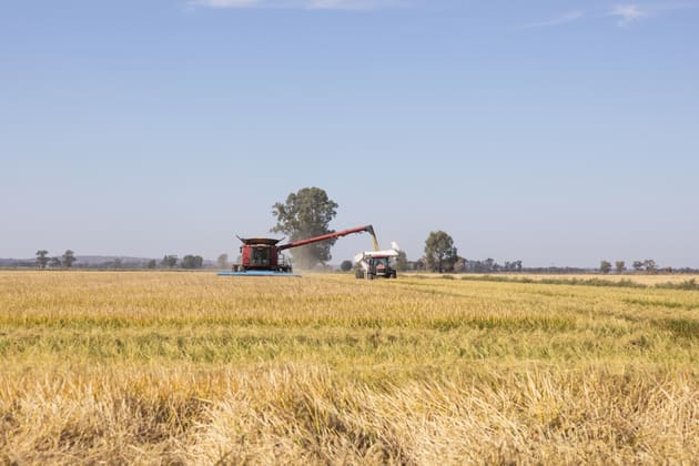 Farm 360 Cain Road & Farm 362A Bilbul NSW 2680 - Image 1