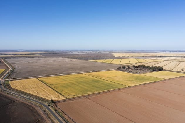 Farm 360 Cain Road & Farm 362A Bilbul NSW 2680 - Image 2