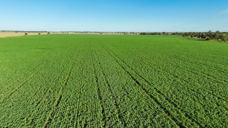 214 Drillham South Road Drillham QLD 4424 - Image 2