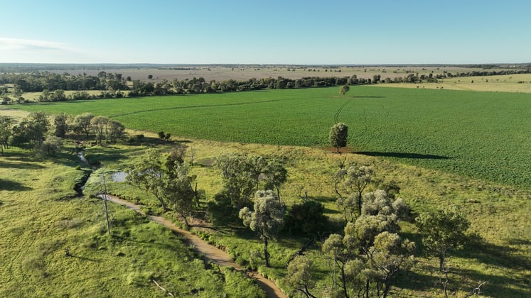 214 Drillham South Road Drillham QLD 4424 - Image 4