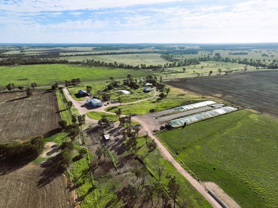 214 Drillham South Road Drillham QLD 4424 - Image 5