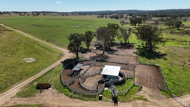555 Palgrave Road Dalveen QLD 4374 - Image 1
