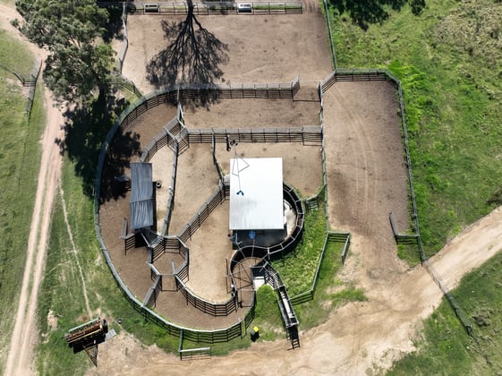 555 Palgrave Road Dalveen QLD 4374 - Image 2